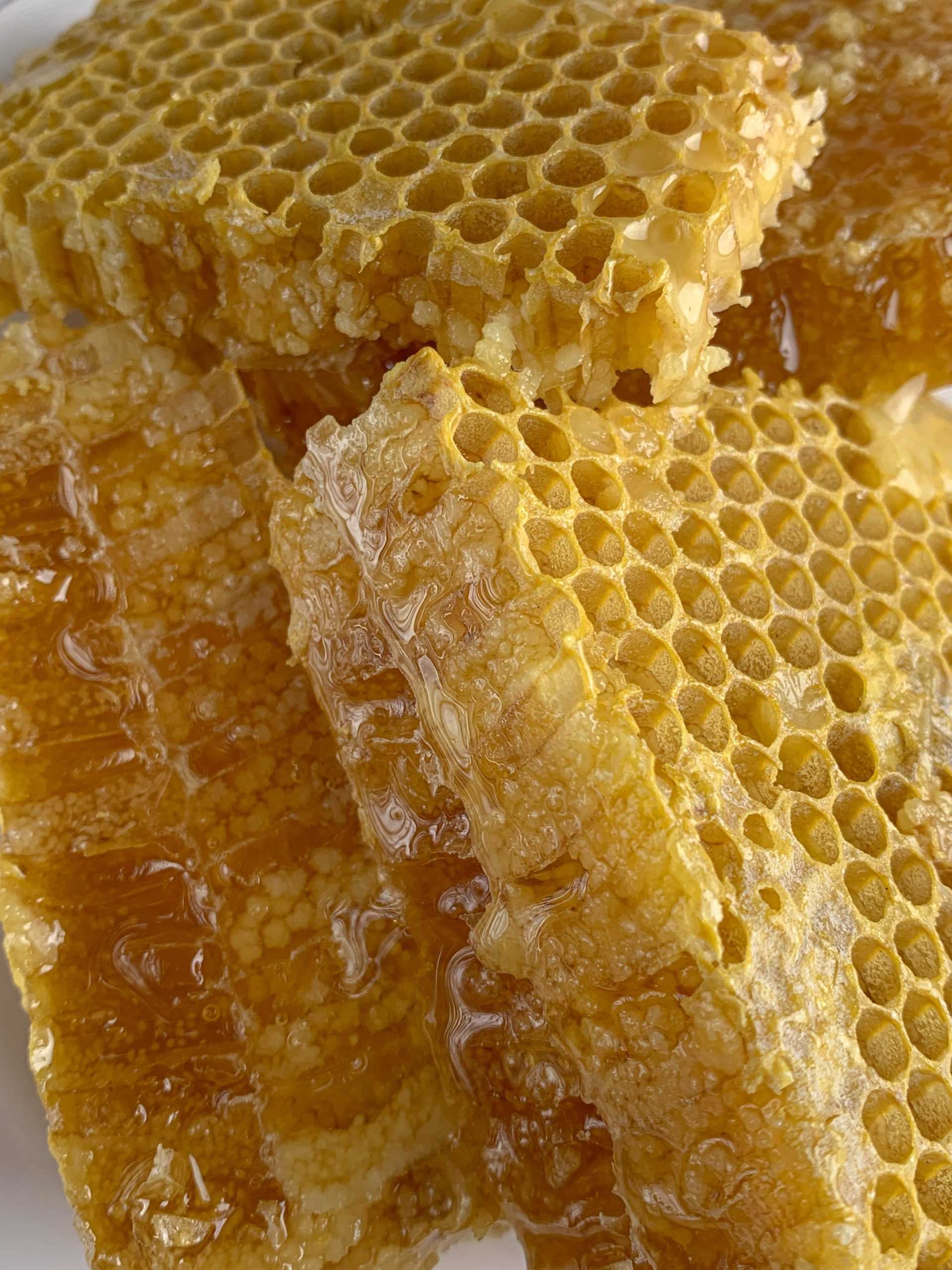 Miel crujiente, miel de abeja panal, miel panal, naranja, tarro de